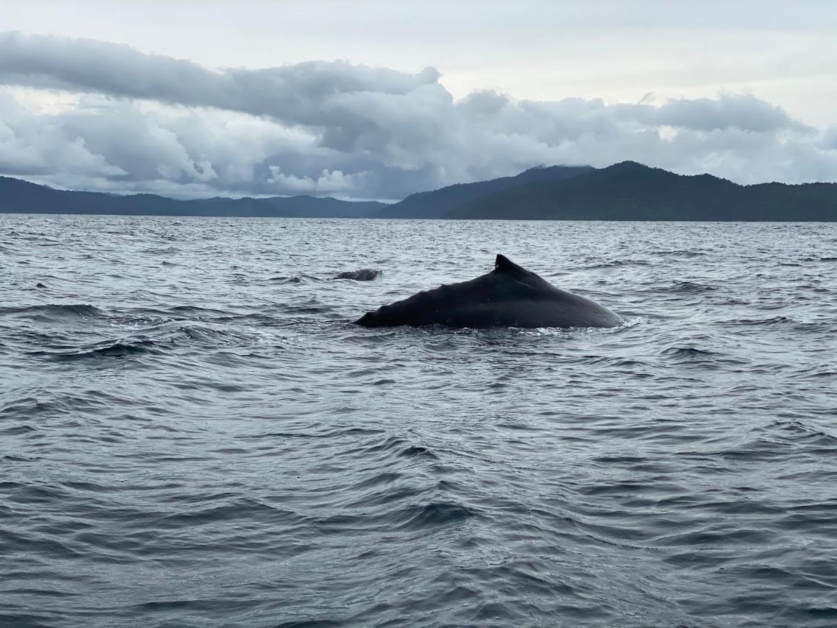 Posada Turistica Rocas De Cabo Marzo バイーア・ソラノ エクステリア 写真