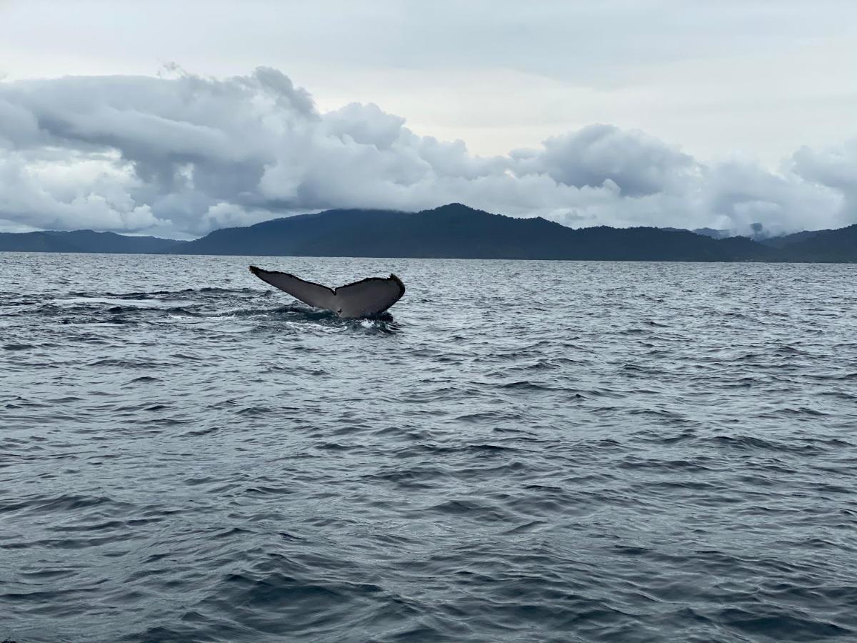 Posada Turistica Rocas De Cabo Marzo バイーア・ソラノ エクステリア 写真
