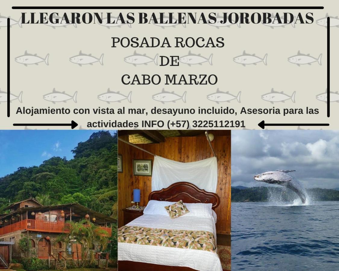 Posada Turistica Rocas De Cabo Marzo バイーア・ソラノ エクステリア 写真