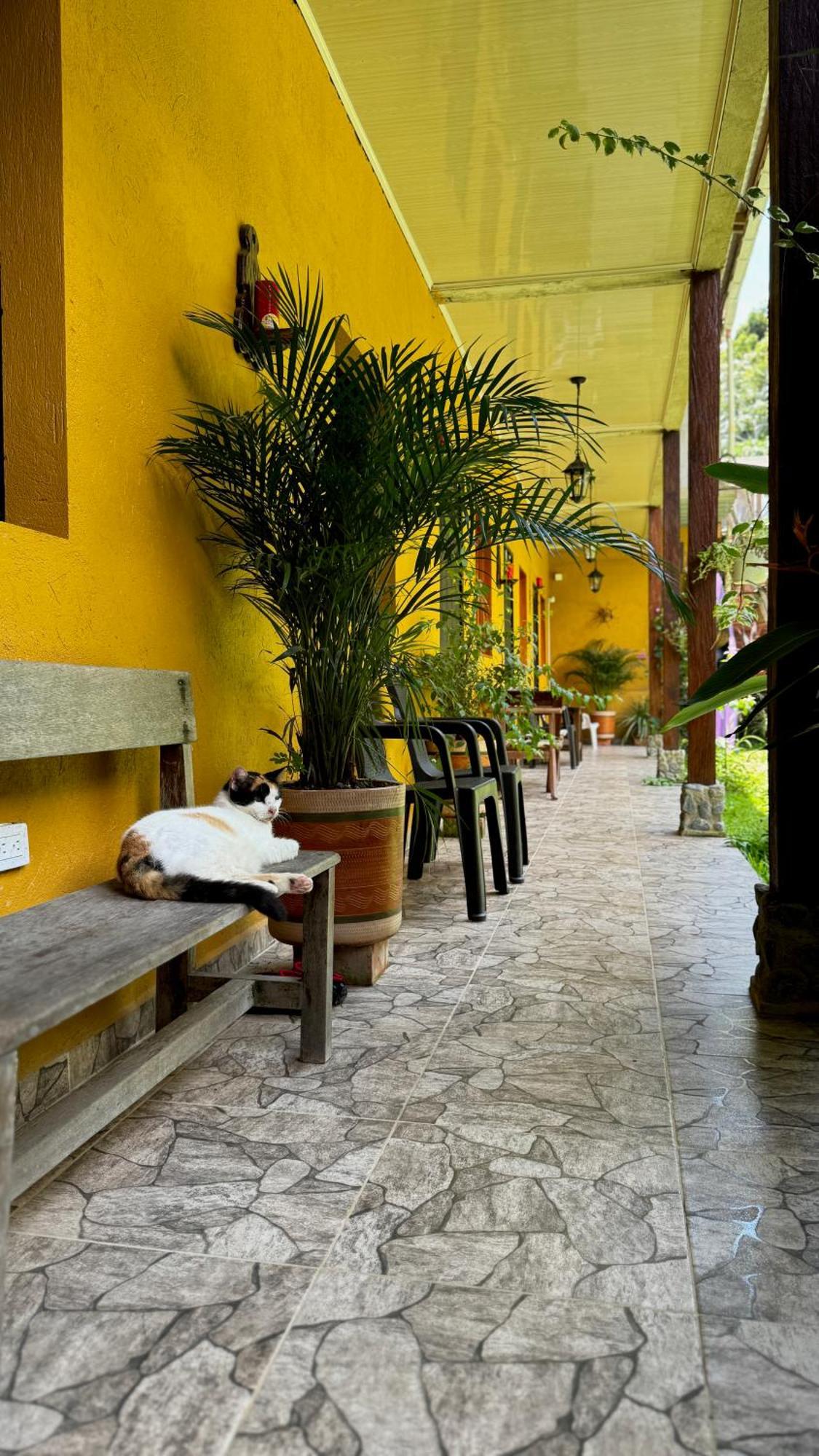 Posada Turistica Rocas De Cabo Marzo バイーア・ソラノ エクステリア 写真